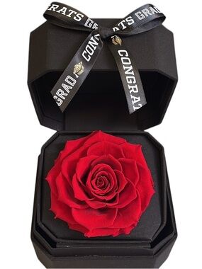 Graduation Preserved Red Rose in Black Gift Box